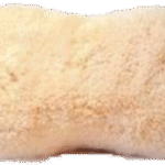The Bone White